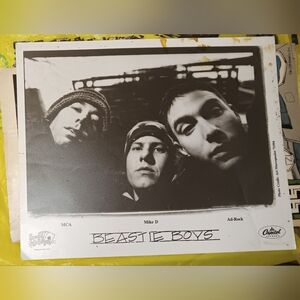 Beastie Boys Vinyl Record